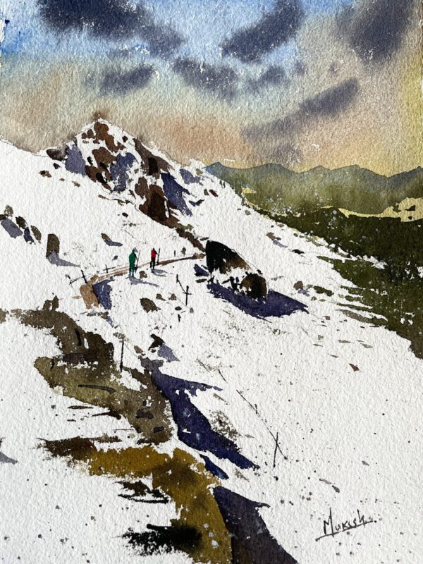 Pathways in the Snow